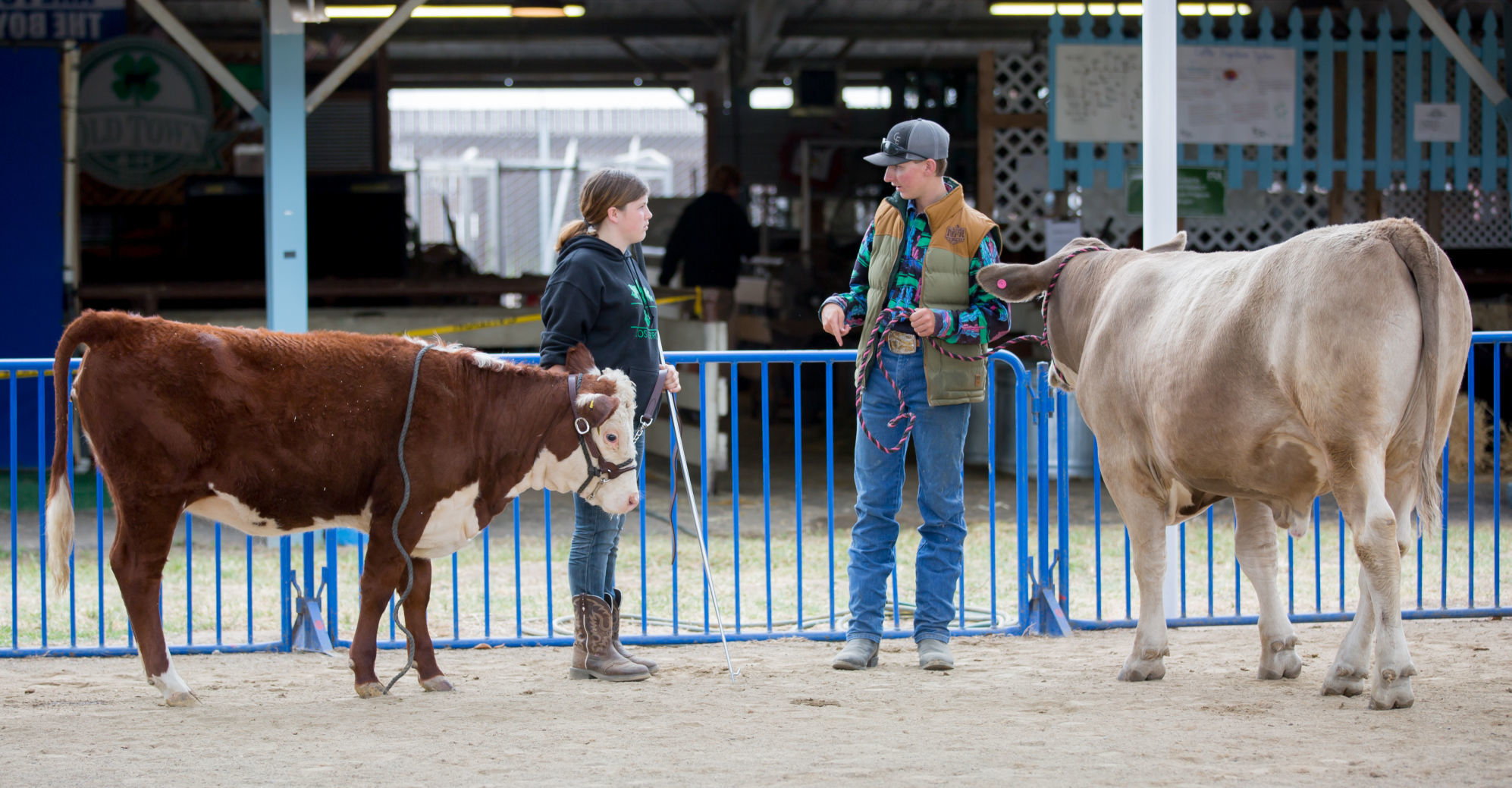 070919 SB Fair Animal Judging 15.jpg